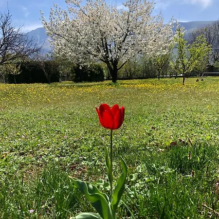Paraiso Vila *